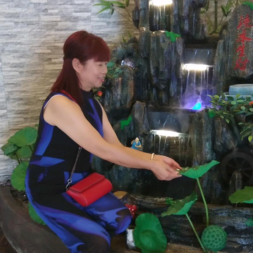 兰花草