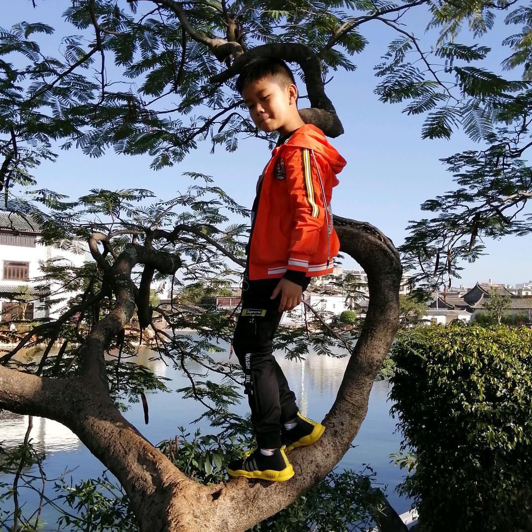 缘在何处（秦）