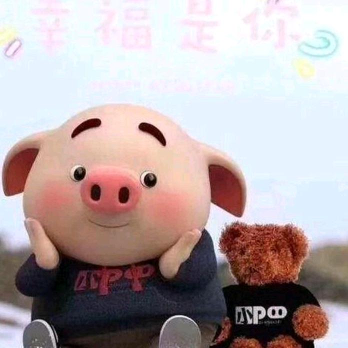 盛歌歌