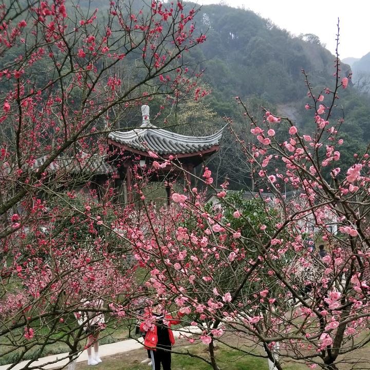 沙漠里的冰