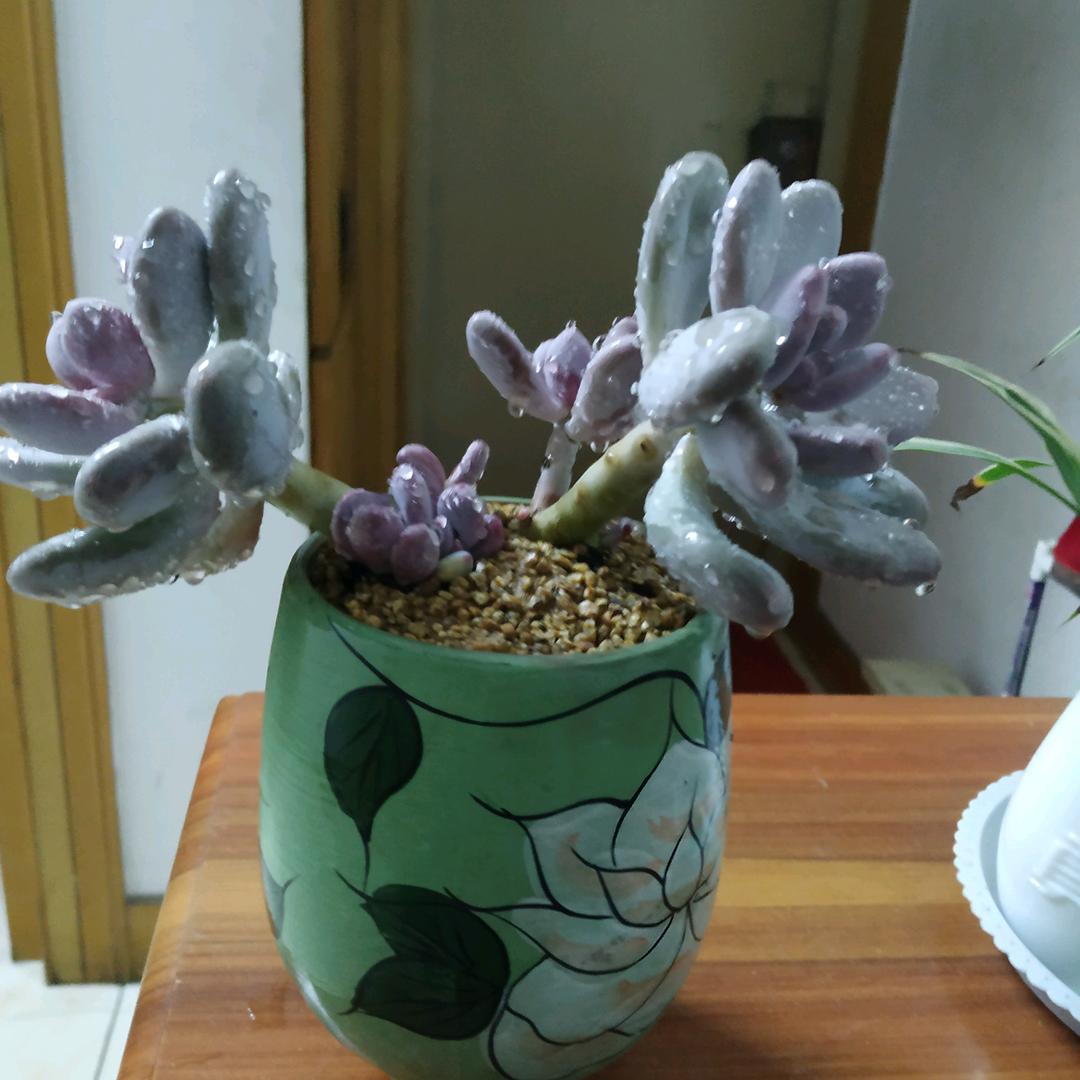 西津河畔