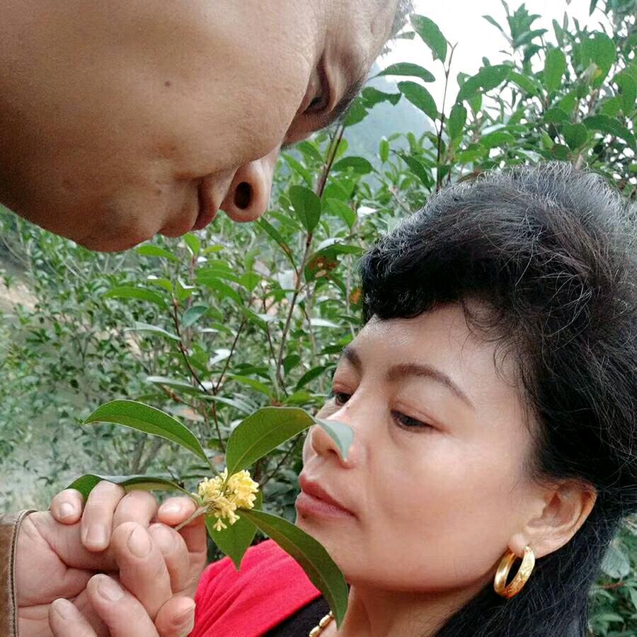 大将水库生态农庄刘妈