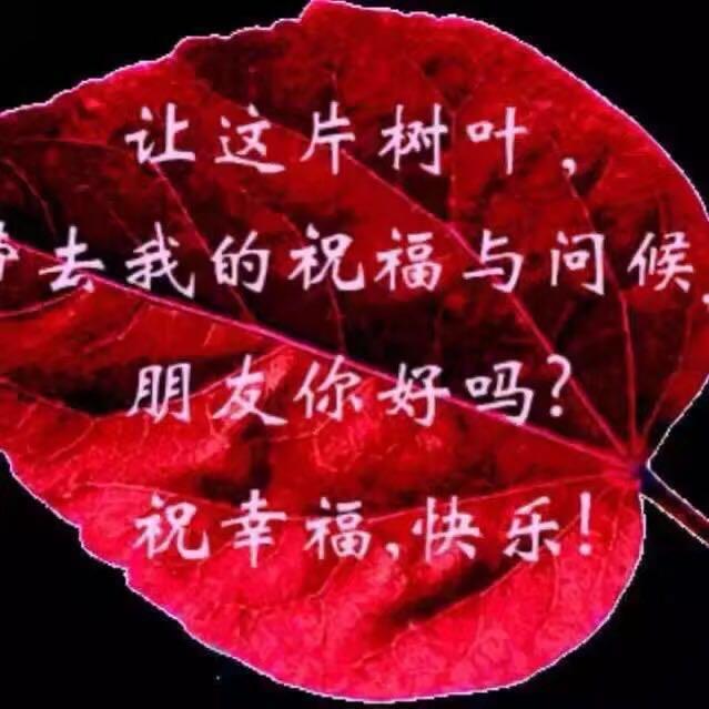 用户明天会更好