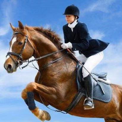 洛南县花博园奔腾跑马场