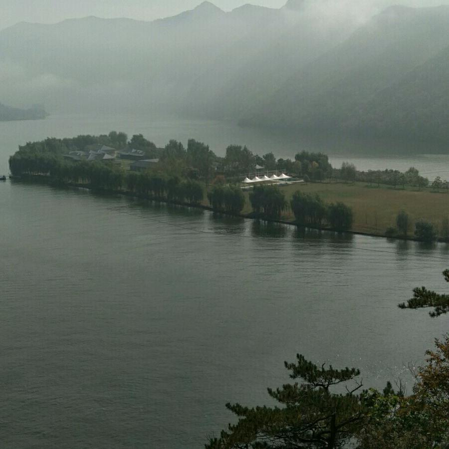 我家的番茄会炒蛋