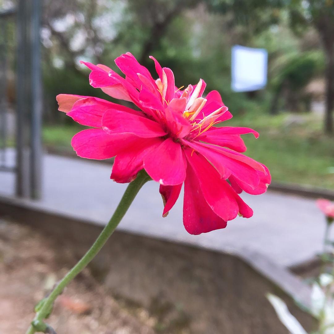 女人  本来就狠美