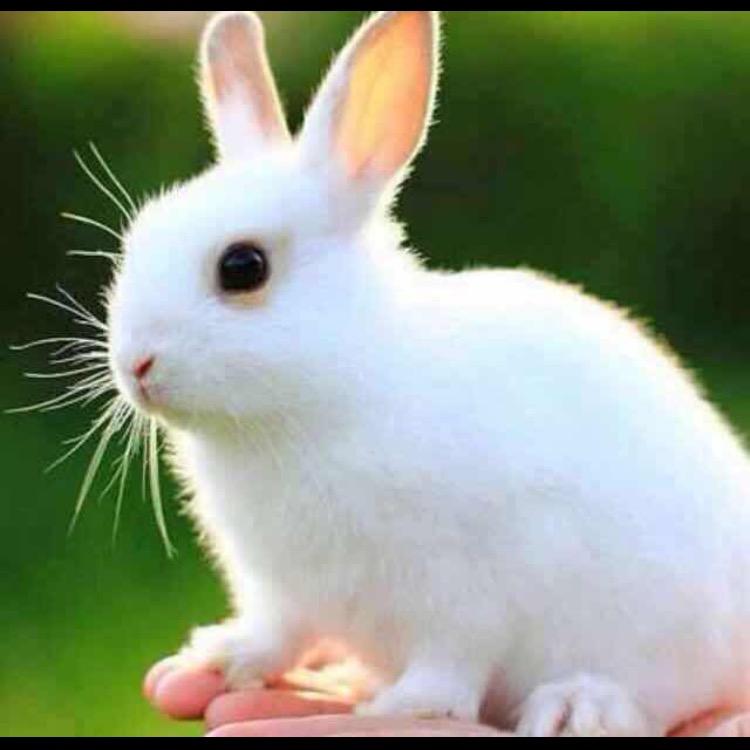 天亮房车——-韩雪