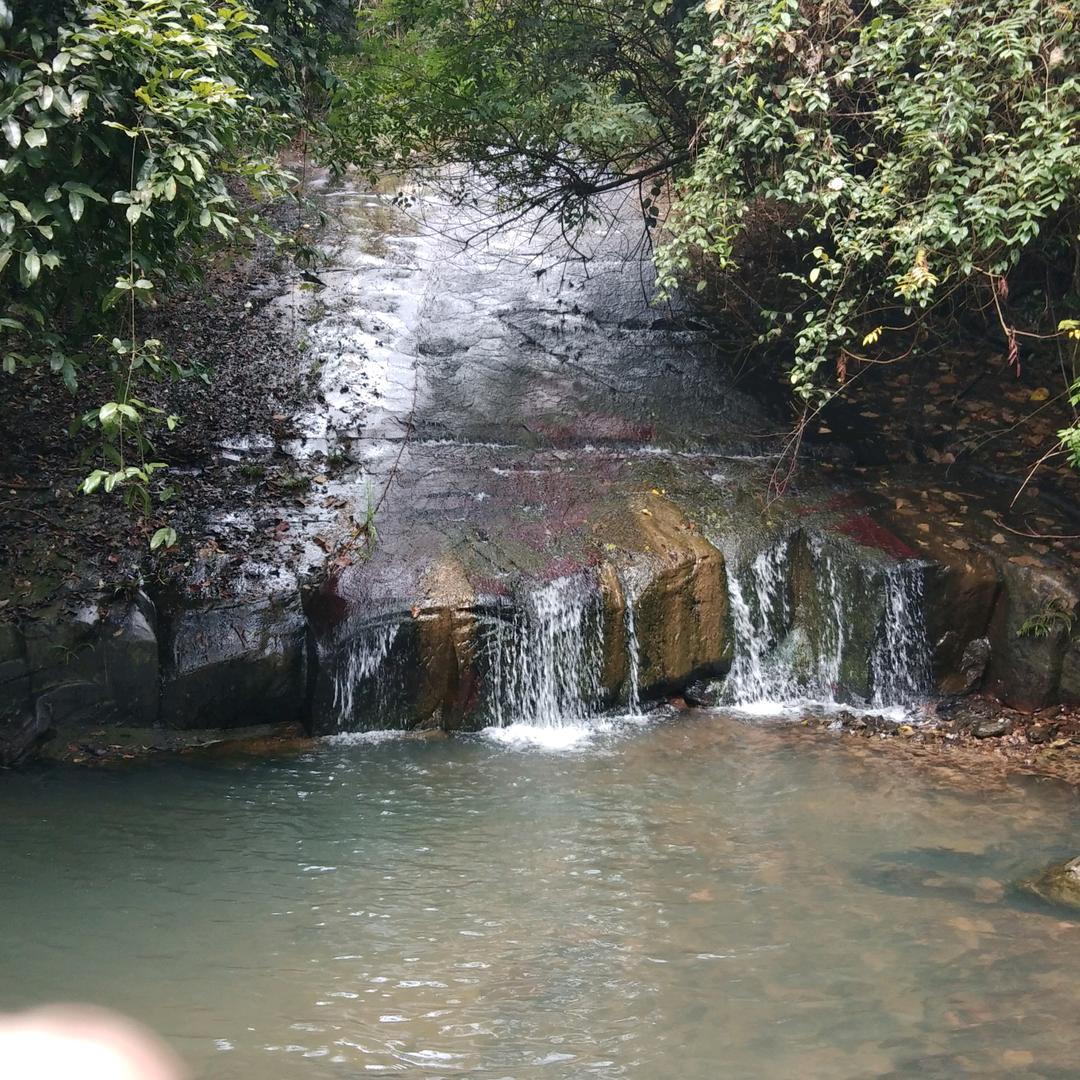 沈正清