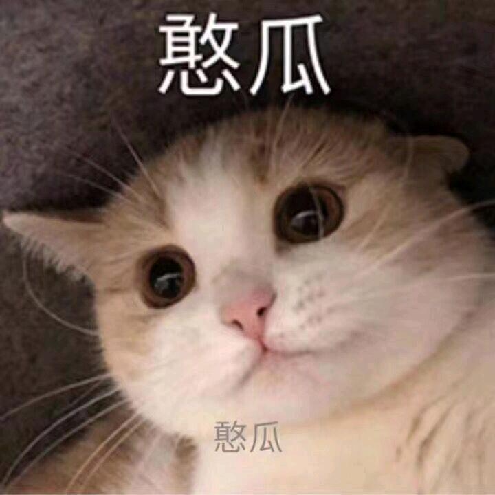 谷鱼
