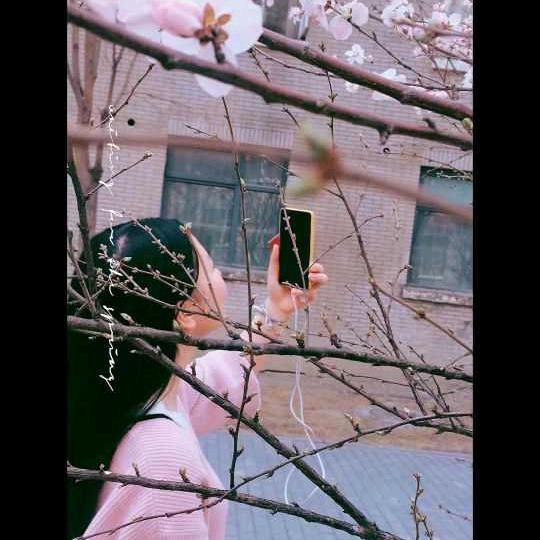 大白追剧