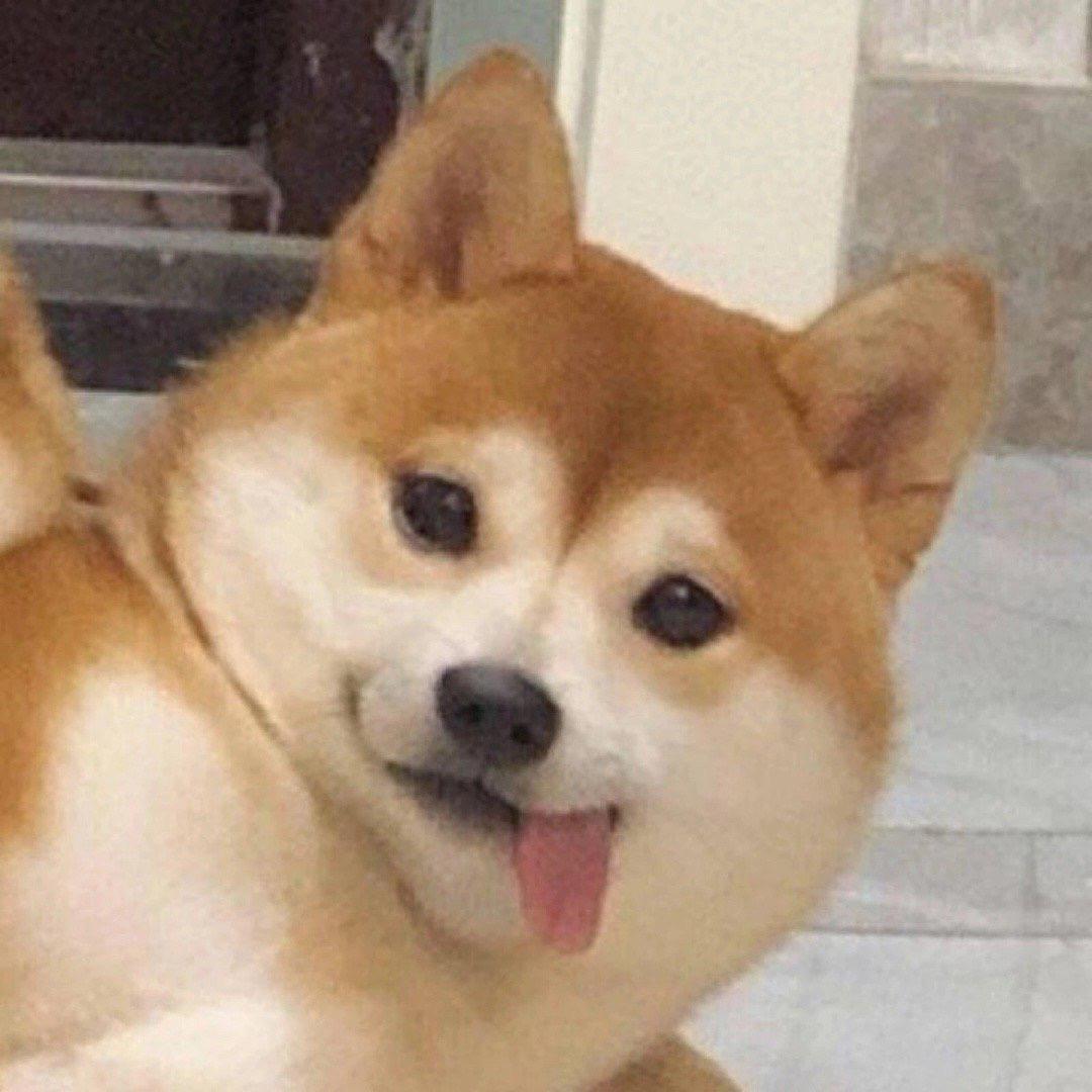 啊柴🍗