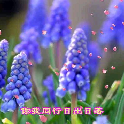 人生如梦