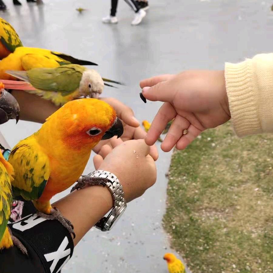 @AA楓橋ぉ聽雨จุ๊บ