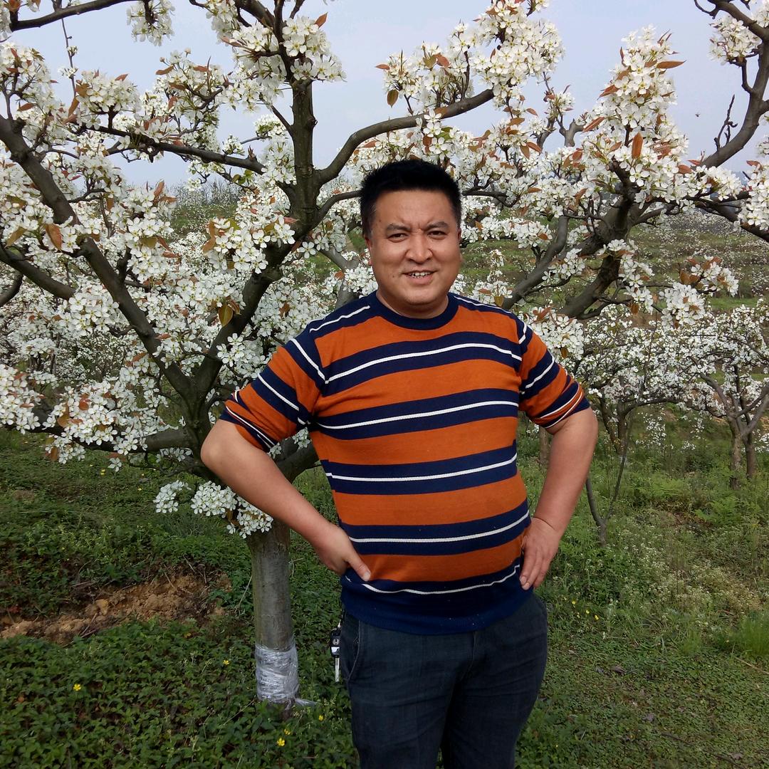 周家发（沙坪家发豆花面馆）