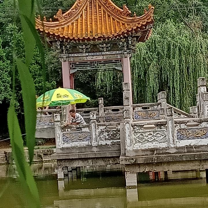 秦岭人家