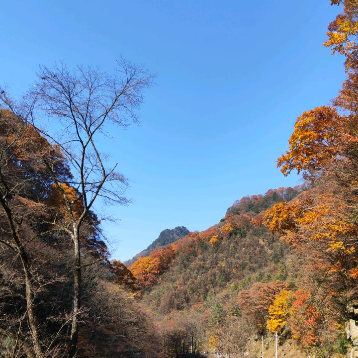 @青春长再    袁姐居家养老