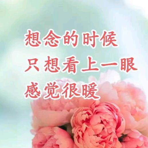 一生平安赵姐家政