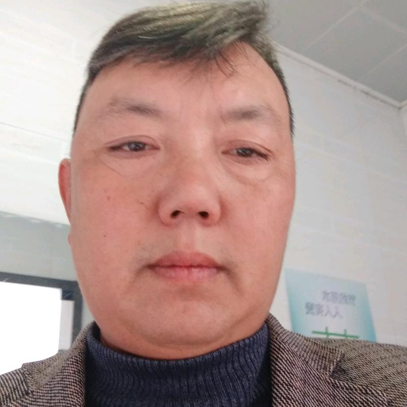双海