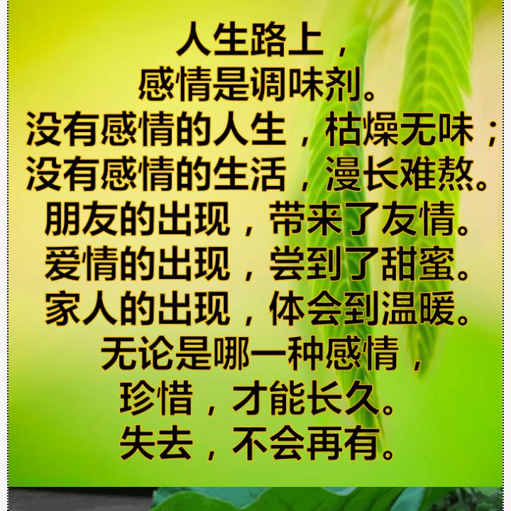 夜空中最亮的星