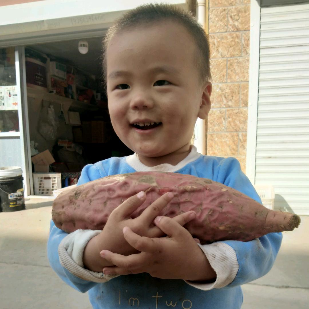 社区团购福利进行中