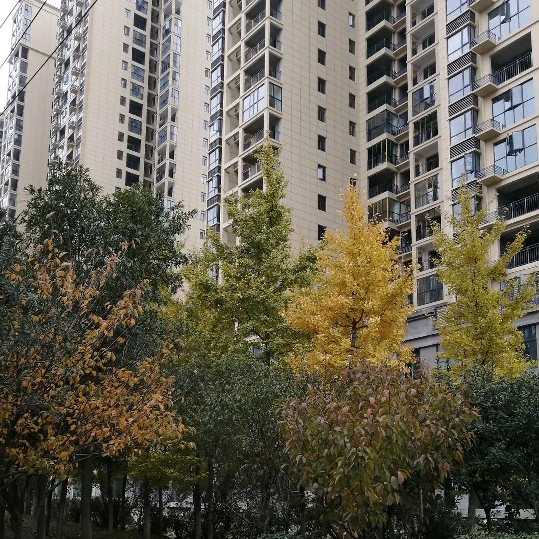 谁是谁非