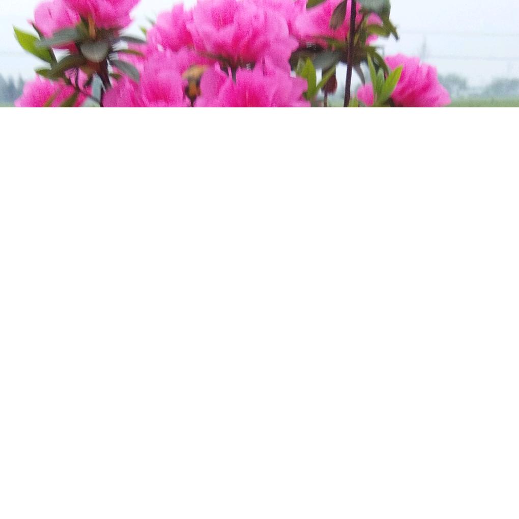 用户7050889806413