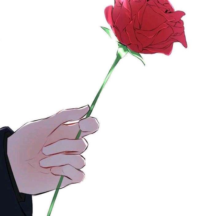 淡