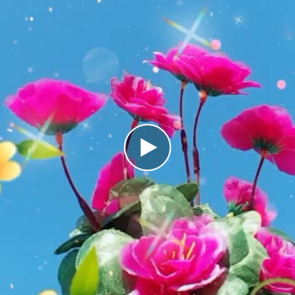 用户单身一个人2414918845167