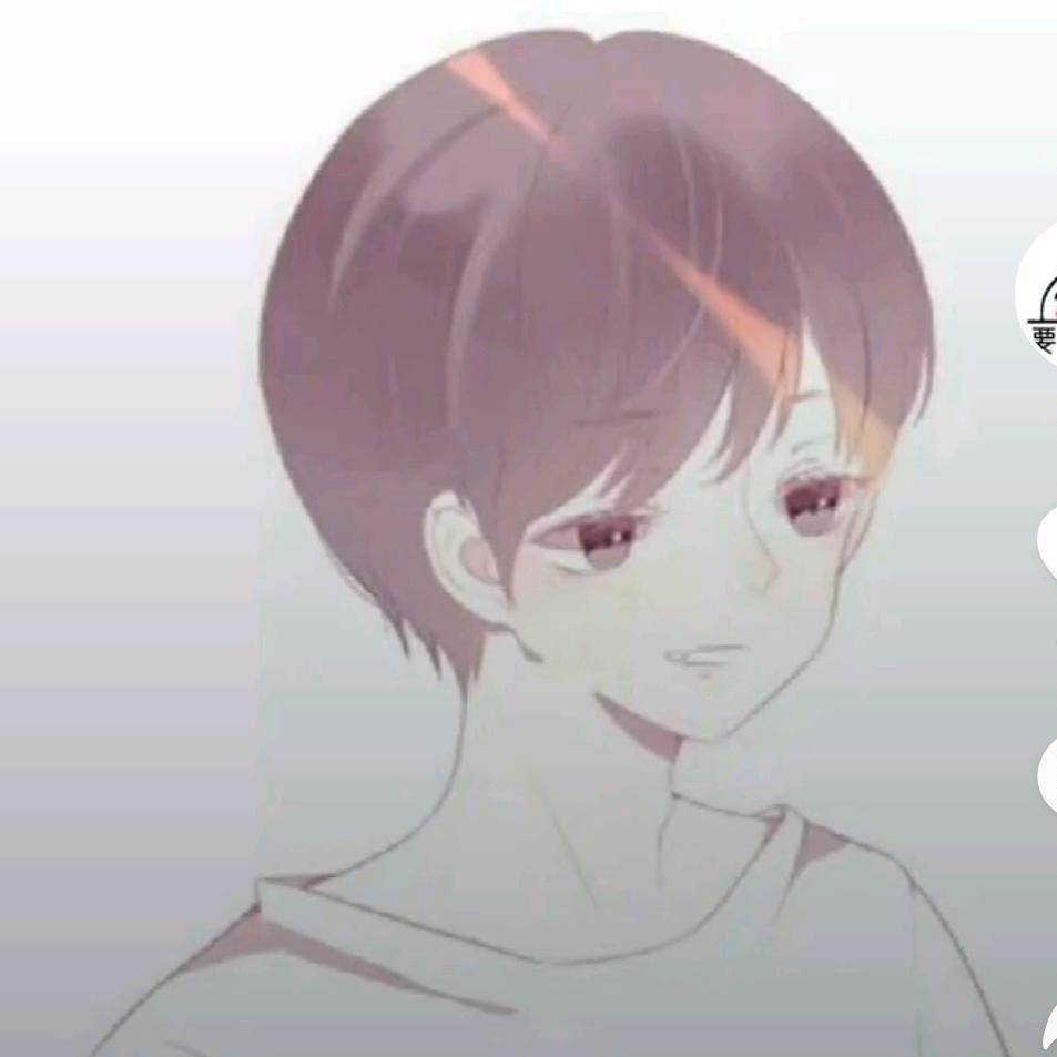 纯洁凤凰
