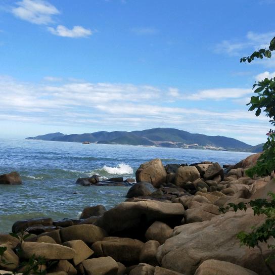 🌈Bynn爱农业爱生活