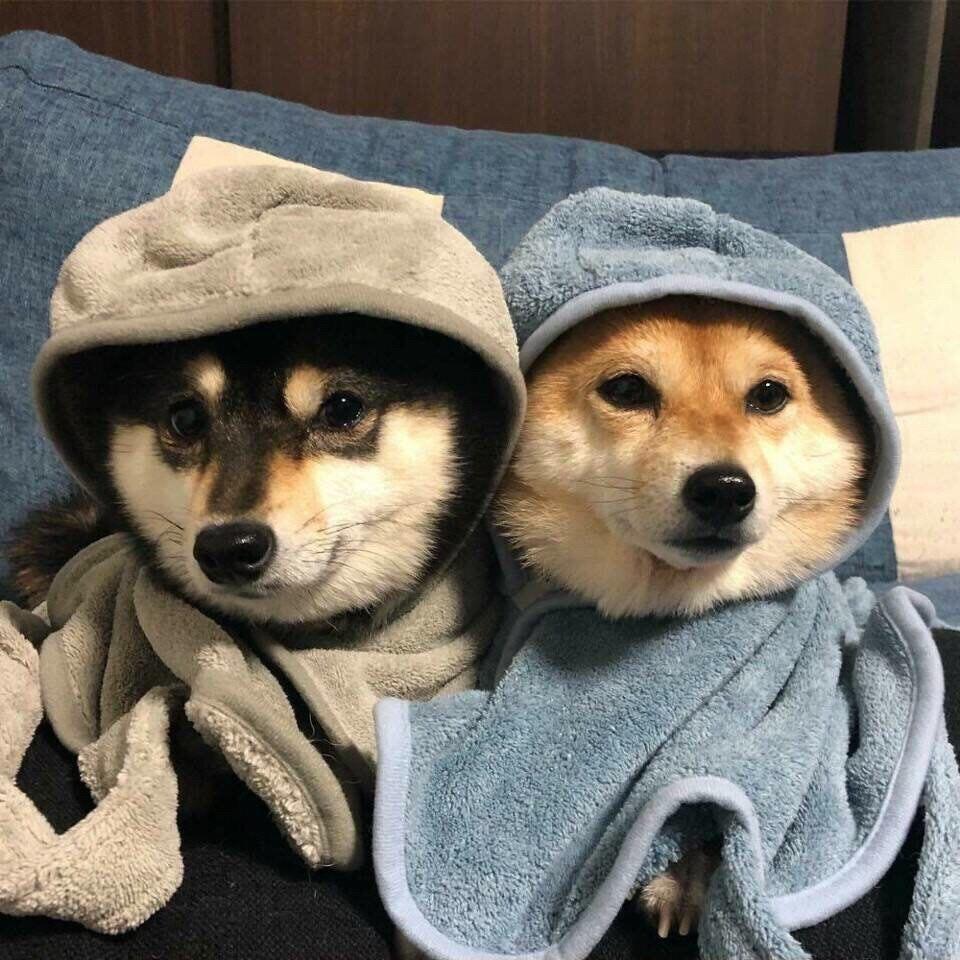 暖心人🍀