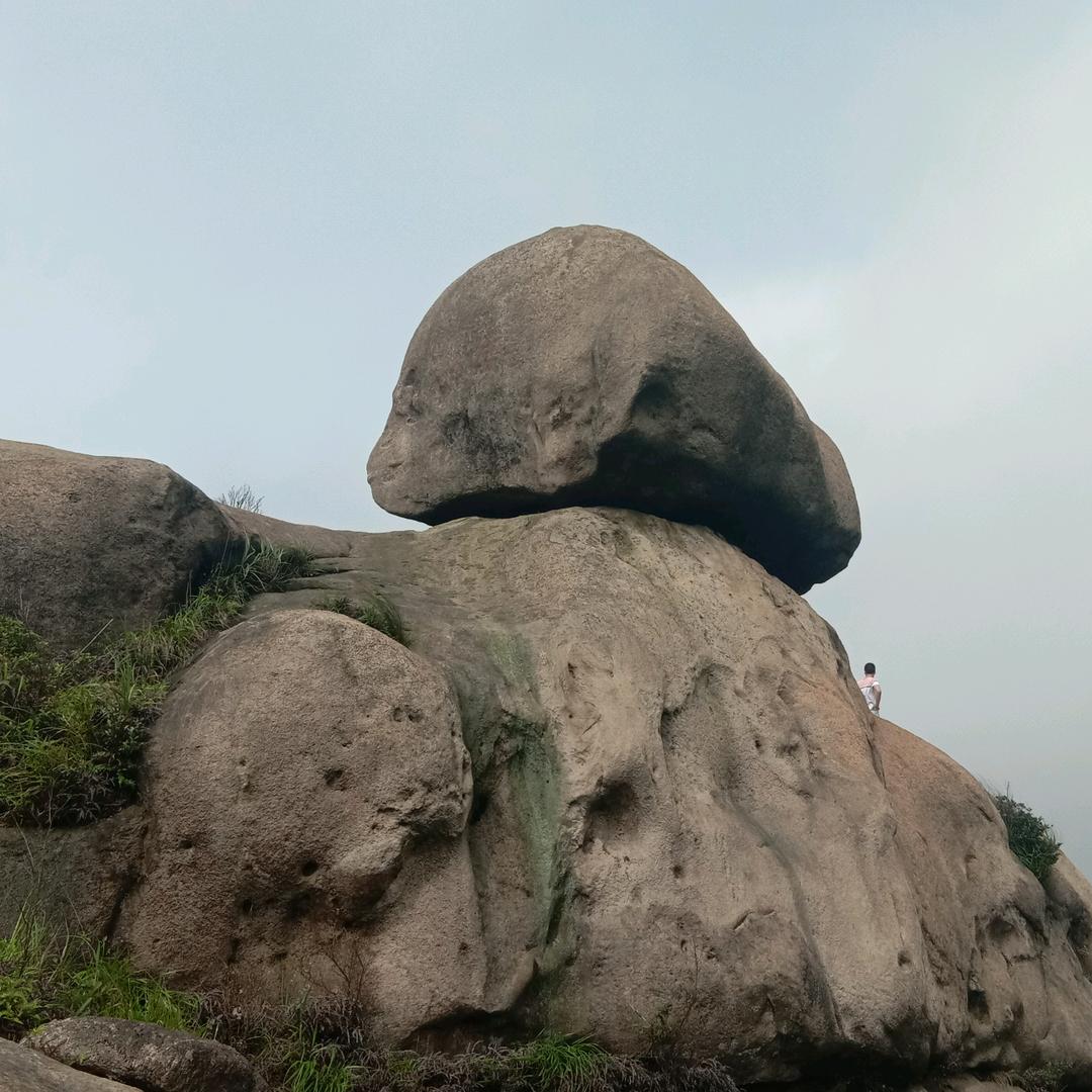 雲