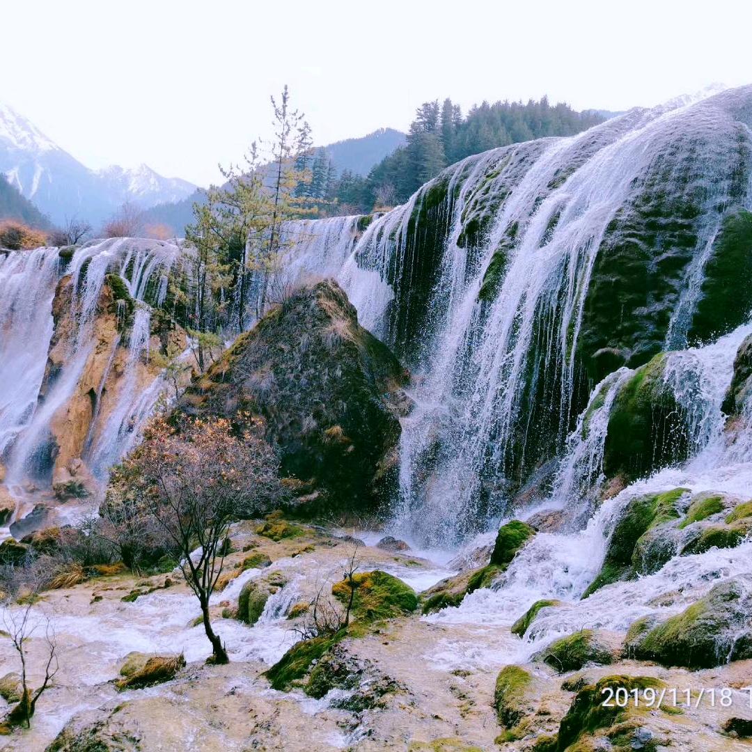 朱朱的美好明天