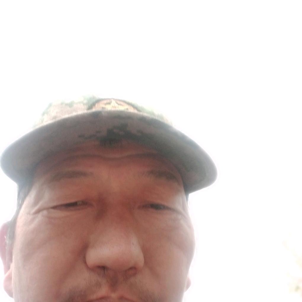 齐哥