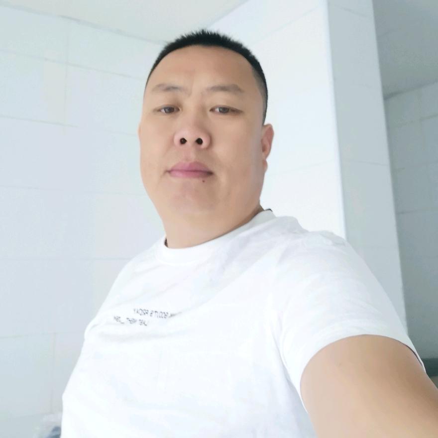 地毯上的蚂蚁