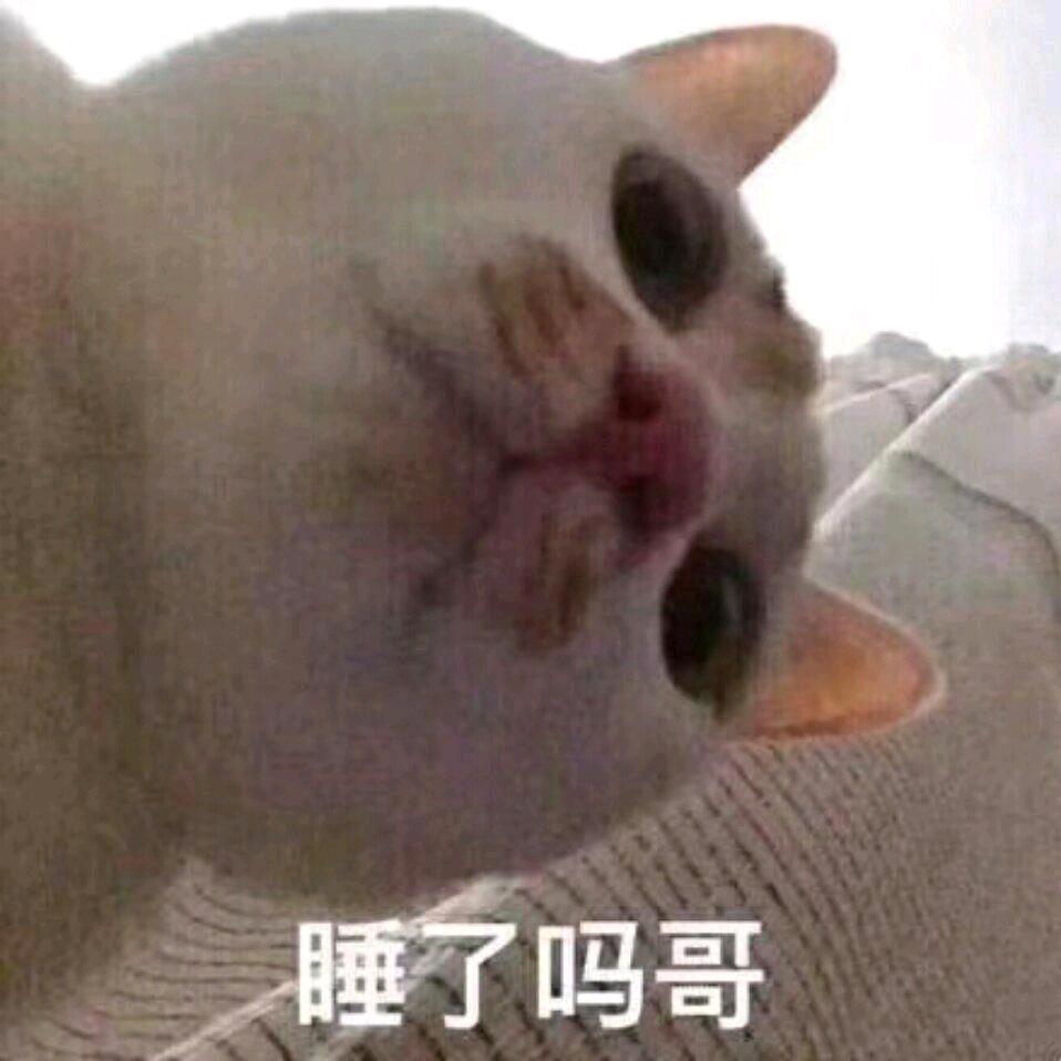 🍊御饭团🍙