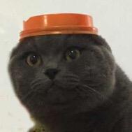 墨轩效果图制作