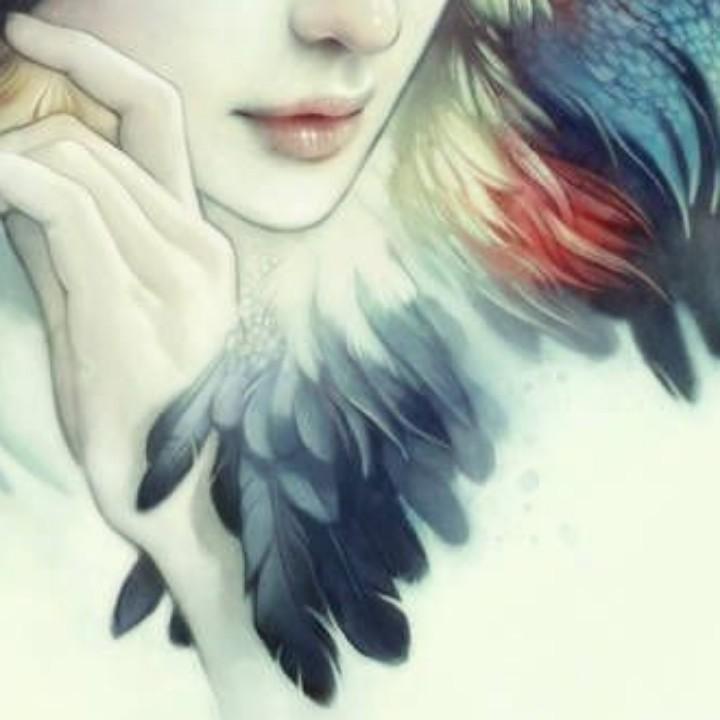 红细胞