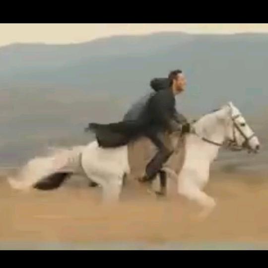 🇨🇳 轩 阁 🇨🇳