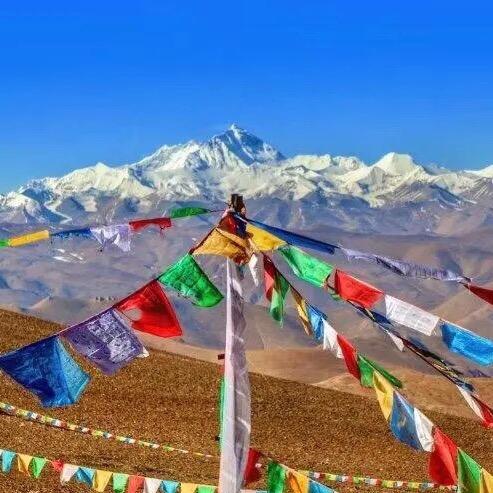 🈚🉐搞头ㅍ_ㅍ