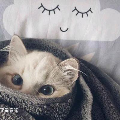 碳水化合物
