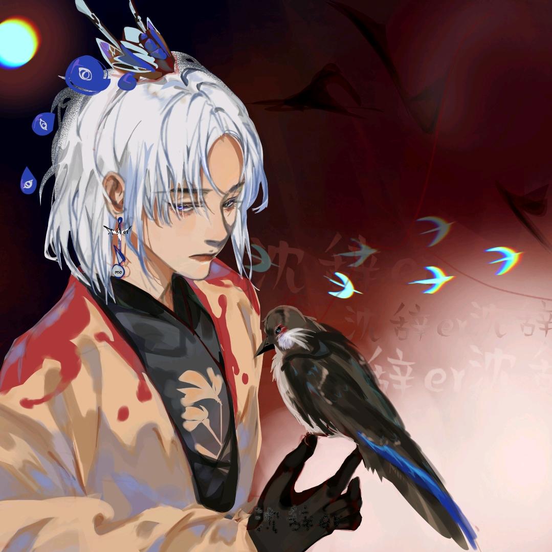 沈辞er.🍓@抖音