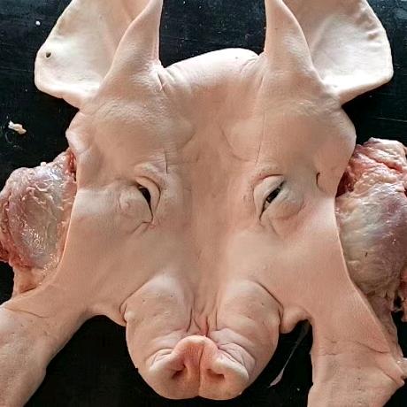 乐山李冲嘴食品