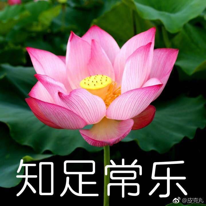 向仕贵