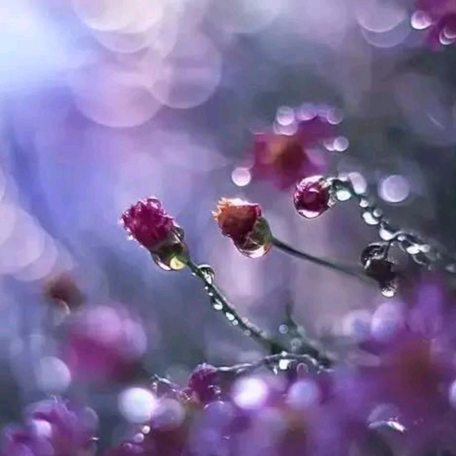 雨润