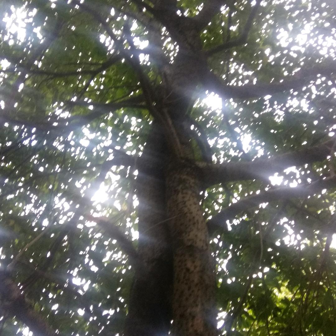 孙欣