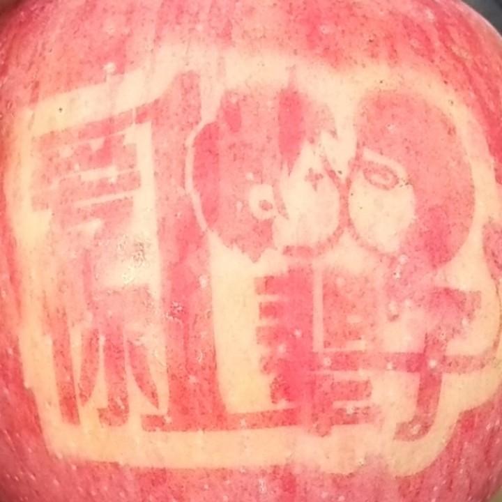 哈宝