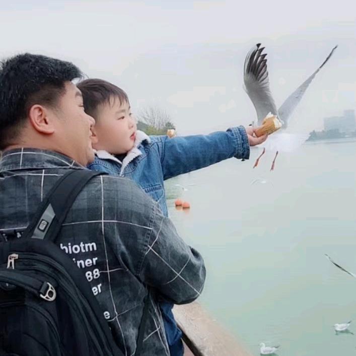 汤汤正正