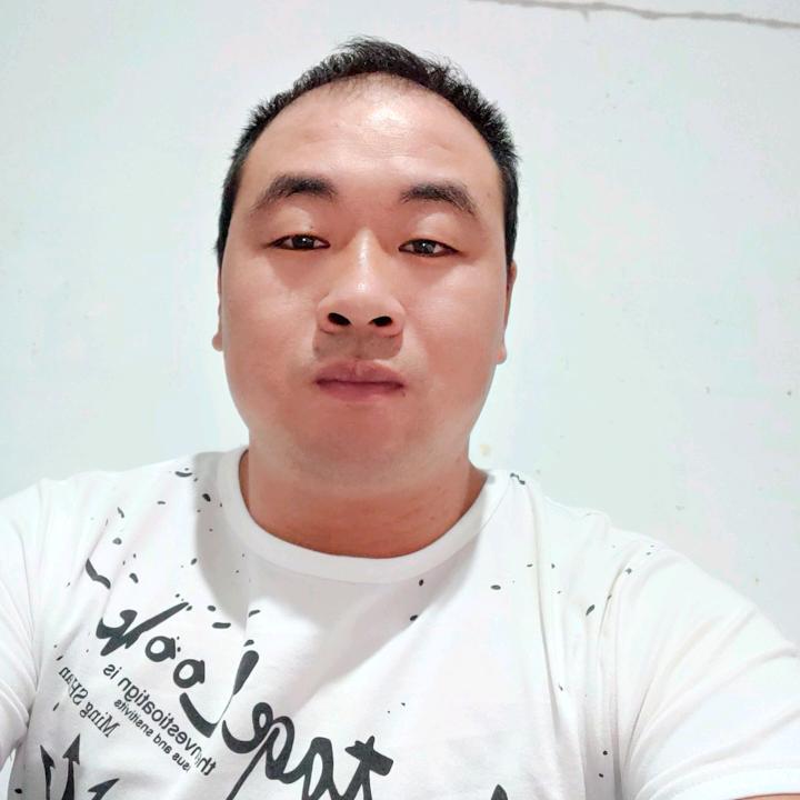 奋斗的小蚂蚁
