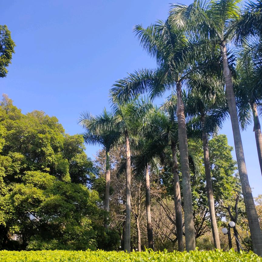 我的名字叫长得美